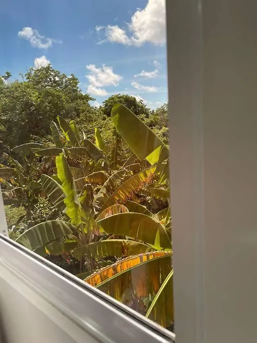 Danisha'S Place Vip Apartment San Andres  San Andres (San Andres and Providencia Islands)